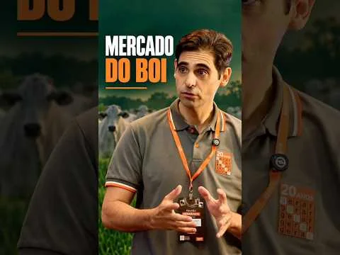 🚨 COTAÇÃO DO BOI GORDO: ARROBA CHEGA A R$ 360 NO MERCADO FÍSICO