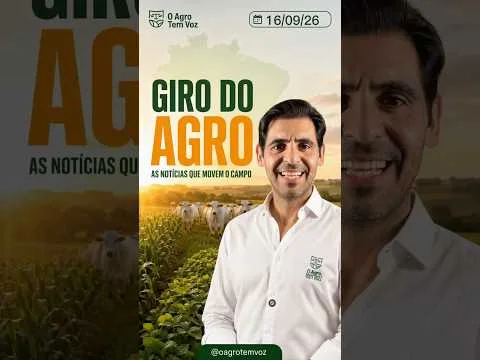 Atenção produtor: Preços atualizados do boi, milho e soja #PreçoDoBoi #Agricultura