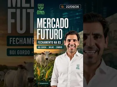 🚨 BOI PERTO DOS R$ 390 E MILHO EM QUEDA NA B3!