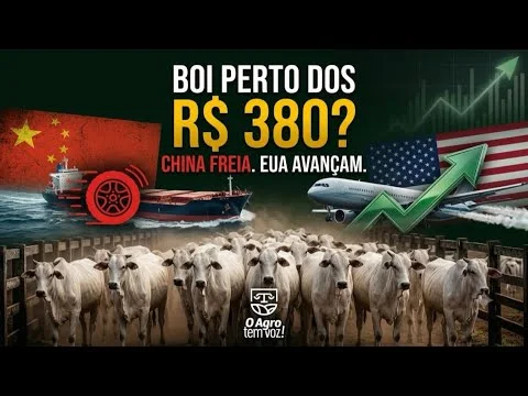 FUTURO DO BOI: O QUE MUDOU COM A VOLTA DE TRUMP E A CHINA?