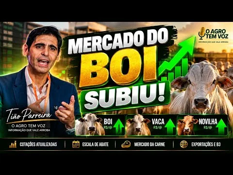 🐂 MERCADO DO BOI SUBIU! 📈 | 29/09/2026