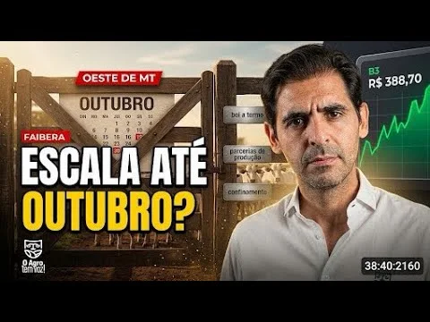 Preço do Boi Gordo Hoje 09/09: B3 sobe e escalas chegam a outubro no oeste de MT
