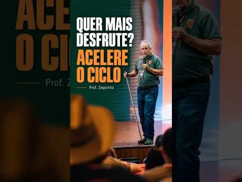 Na pecuária de corte, o tempo também cobra juros.