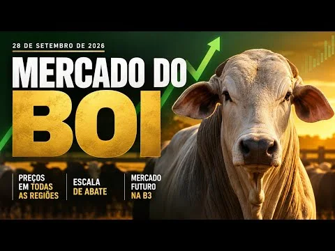 🐂 MERCADO DO BOI HOJE | 28 DE SETEMBRO DE 2026