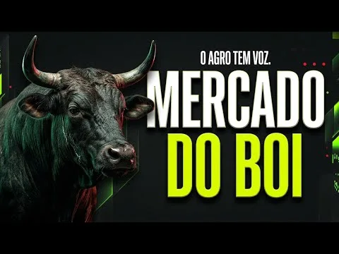 Boi gordo hoje: O mercado perdeu a força?