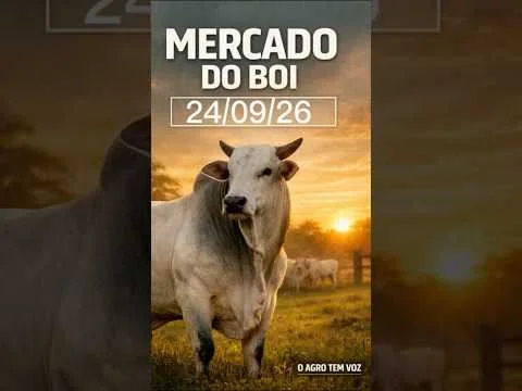 📊COTAÇÕES A 30 DIAS - 24/09/26Boi | Vaca | Novilha — R$/@