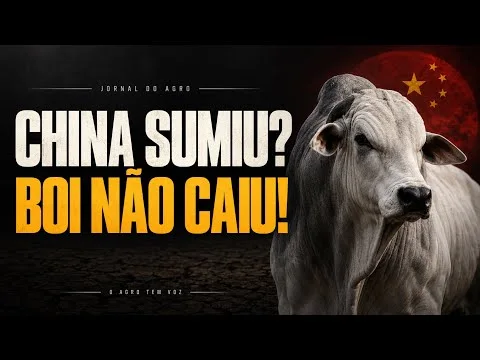 CHINA SUMIU? BOI NÃO CAIU!