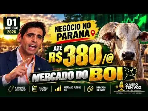 🐂 MERCADO DO BOI HOJE | 1º DE OUTUBRO DE 2026