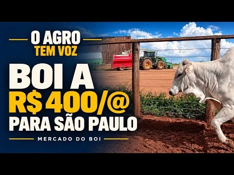 MERCADO DO BOI | 21/10/2026
