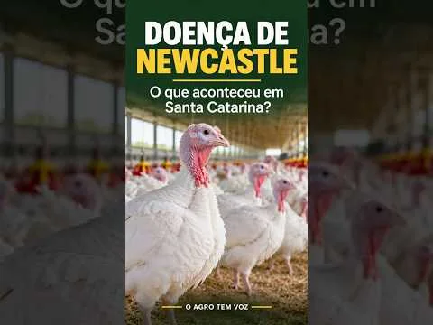 DOENÇA DE NEWCASTLE EM SANTA CATARINA