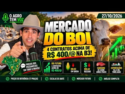 🐂 BOI GORDO A R$ 400/@! QUATRO CONTRATOS ACIMA DE R$ 400 NA B3!