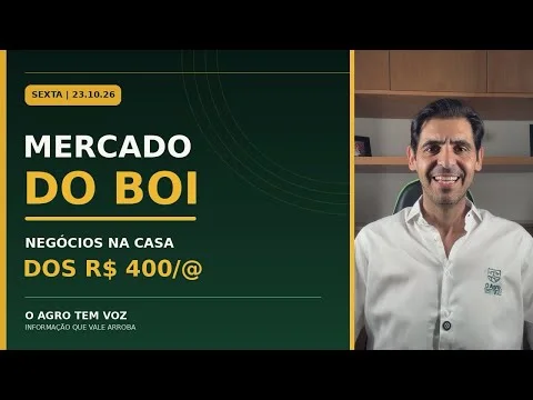 BOI GORDO: negócios chegam a R$ 400,05/@; veja preços, escala e mercado futuro | 23/10