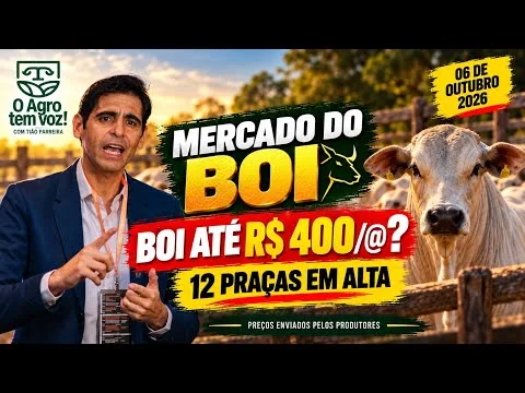 BOI A R$ 400/@? O valor apareceu em uma negociação no Nordeste de Minas Gerais, com boiada de 13,5 @