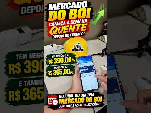 🐂 MERCADO DO BOI COMEÇA A SEMANA QUENTE DEPOIS DO FERIADO! 🔥