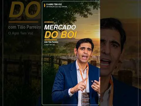 Mercado do boi - Boi - Vaca E Novilha