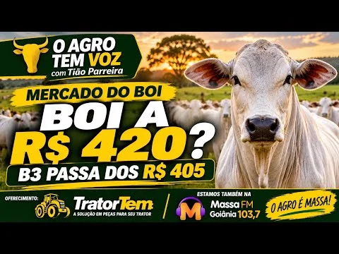BOI A R$ 420? B3 PASSA DOS R$ 405!