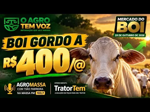 🐂 BOI GORDO A R$ 400/@! MERCADO FUTURO TAMBÉM ACIMA DOS R$ 400!