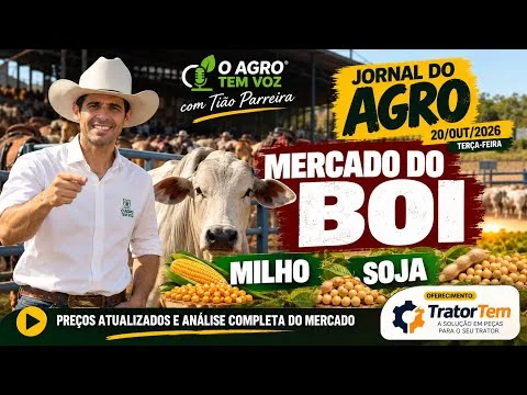 BOI GORDO HOJE: arroba chega a R$ 400 em negócio pontual!