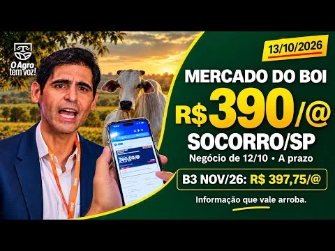 Boi gordo a R$ 390/@ em Socorro/SP. E quanto estão pagando aí na sua região?
