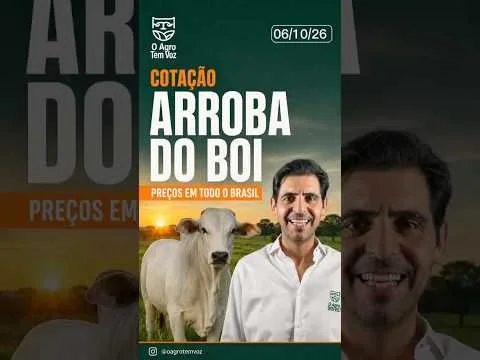 MERCADO DO BOI HOJE