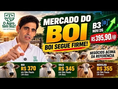MERCADO DO BOI | 2 DE OUTUBRO