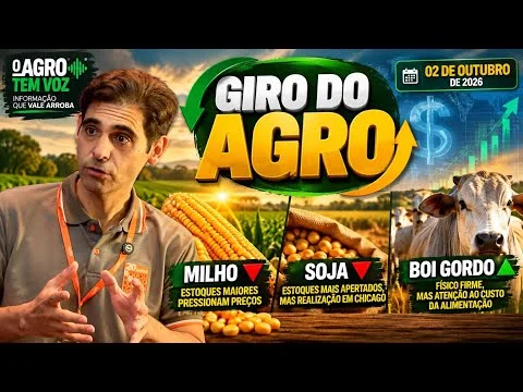 🌽 MILHO, SOJA E BOI GORDO: o que está mexendo com o mercado nesta sexta-feira?